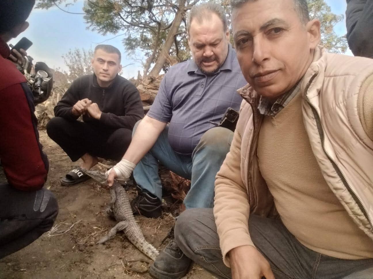 اصطياد تمساح الزوامل